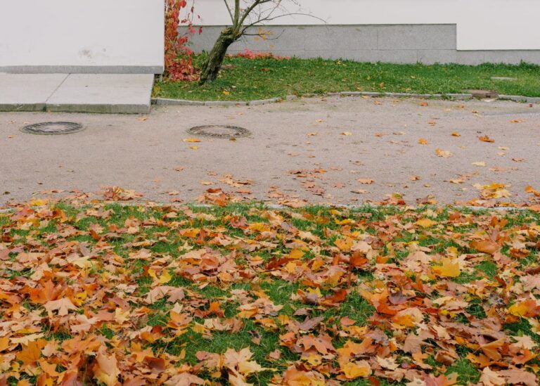 Facade of cement house in autumn park