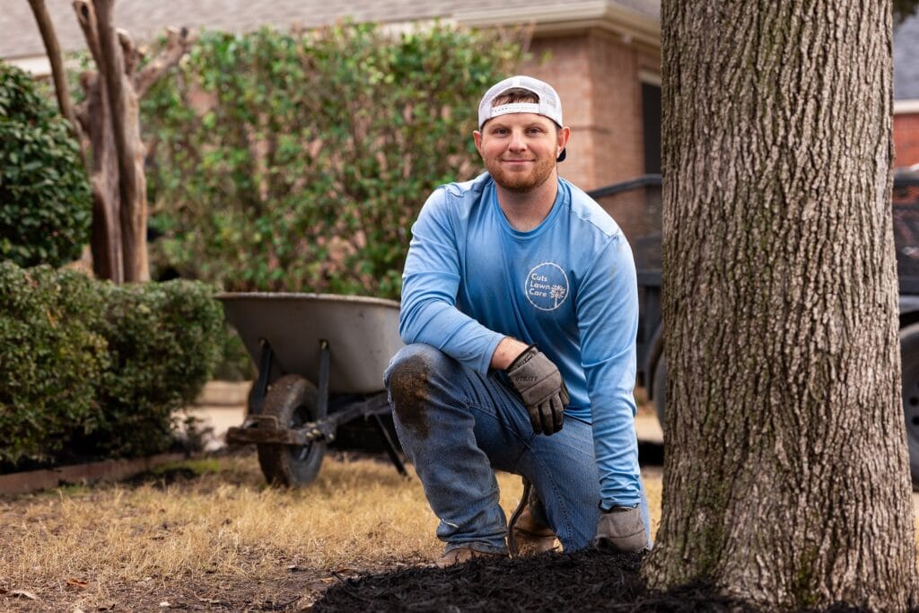 landscaping and lawn care service